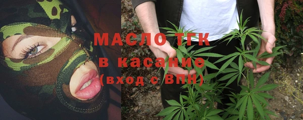 spice Инсар